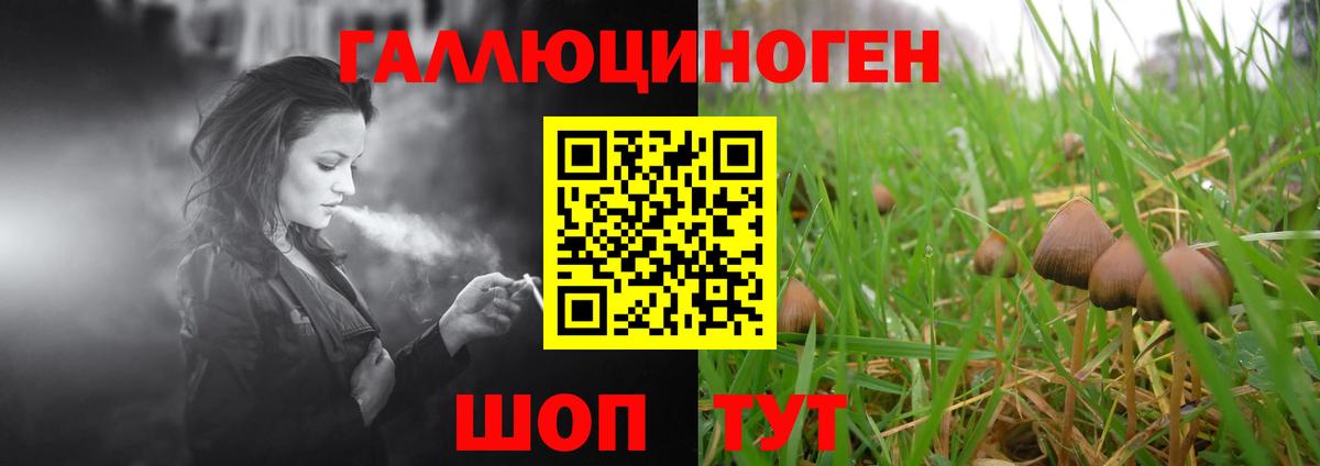 Псилоцибиновые грибы прущие грибы  Вход с VPN  Гусь-Хрустальный  Галлюциногенные грибы Psilocybine cubensis 