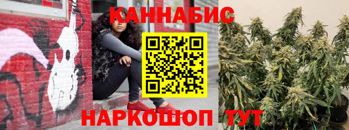 Гусь-Хрустальный  Марихуана OG Kush  Канабис сатива  Вход с VPN 